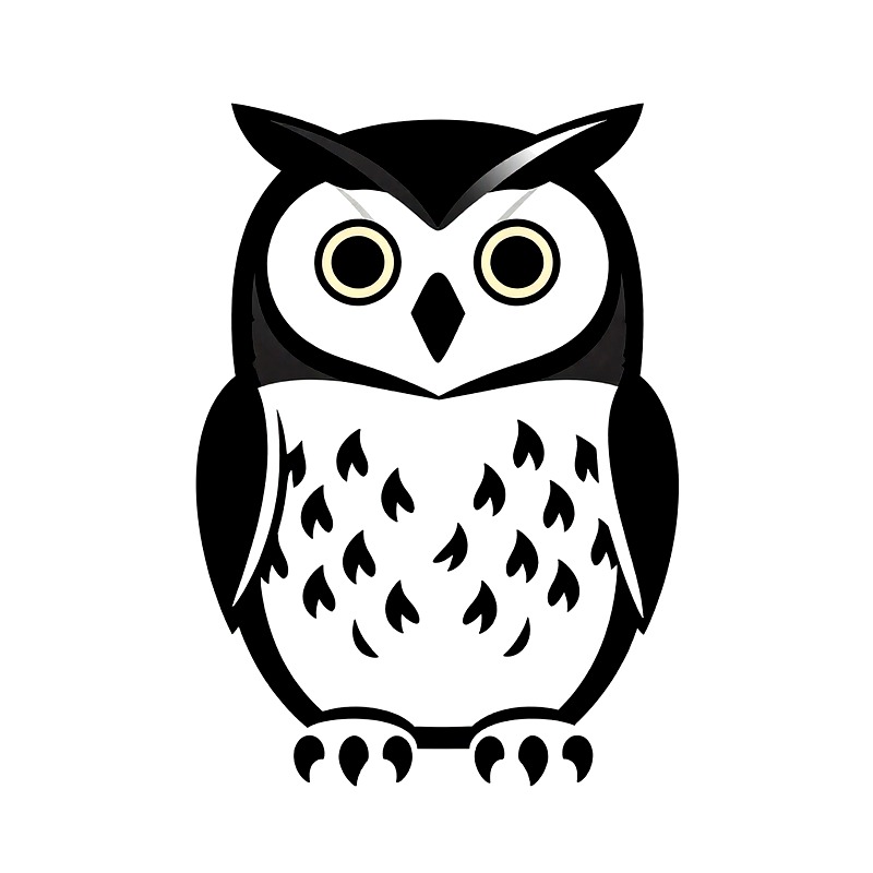 フクロウ柄熱転写ビニールHTVアイロン接着パッチDIY衣料デ - Iron On Patch のレビューと価格